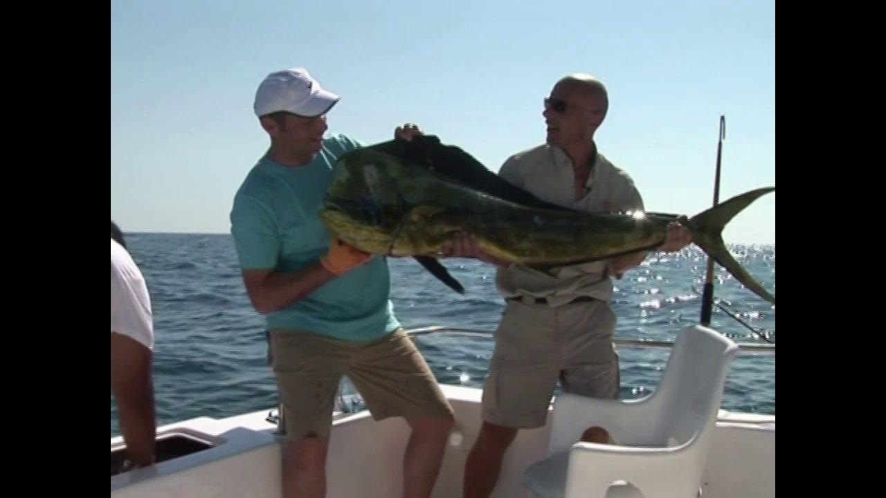 A 50 lb Bull Dorado – Fishing in the Sea of Cortez, Mexico
