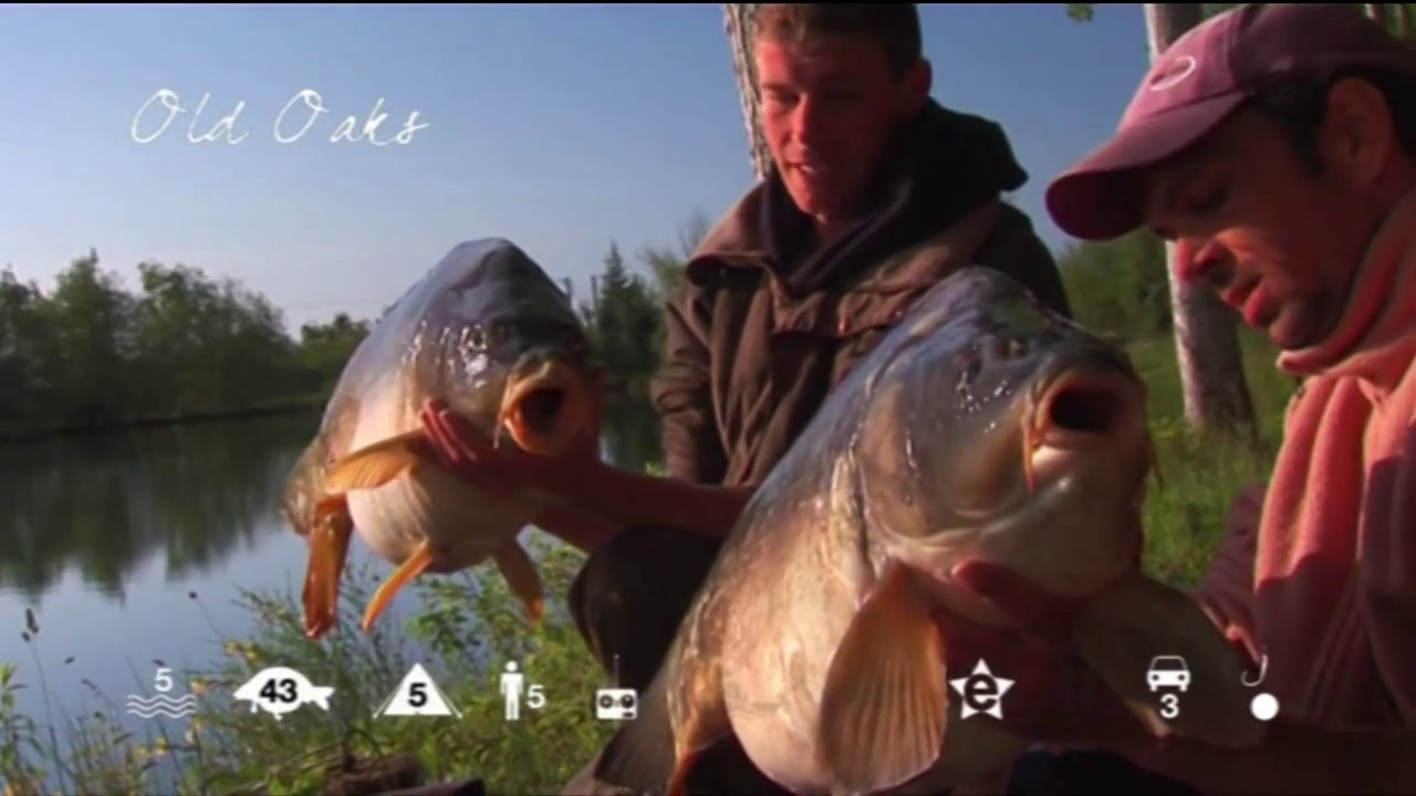 Carp fishing in France at Old Oaks