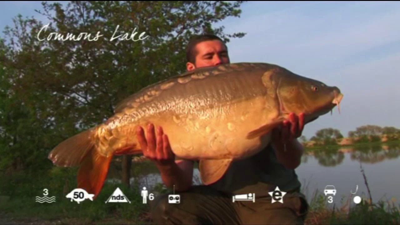 Commons Lake - carp fishing in France