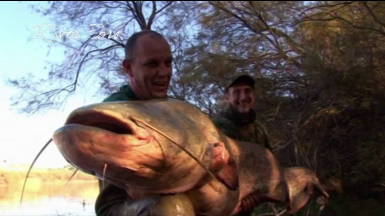 Fishing for Catfish on Spain's River Ebro