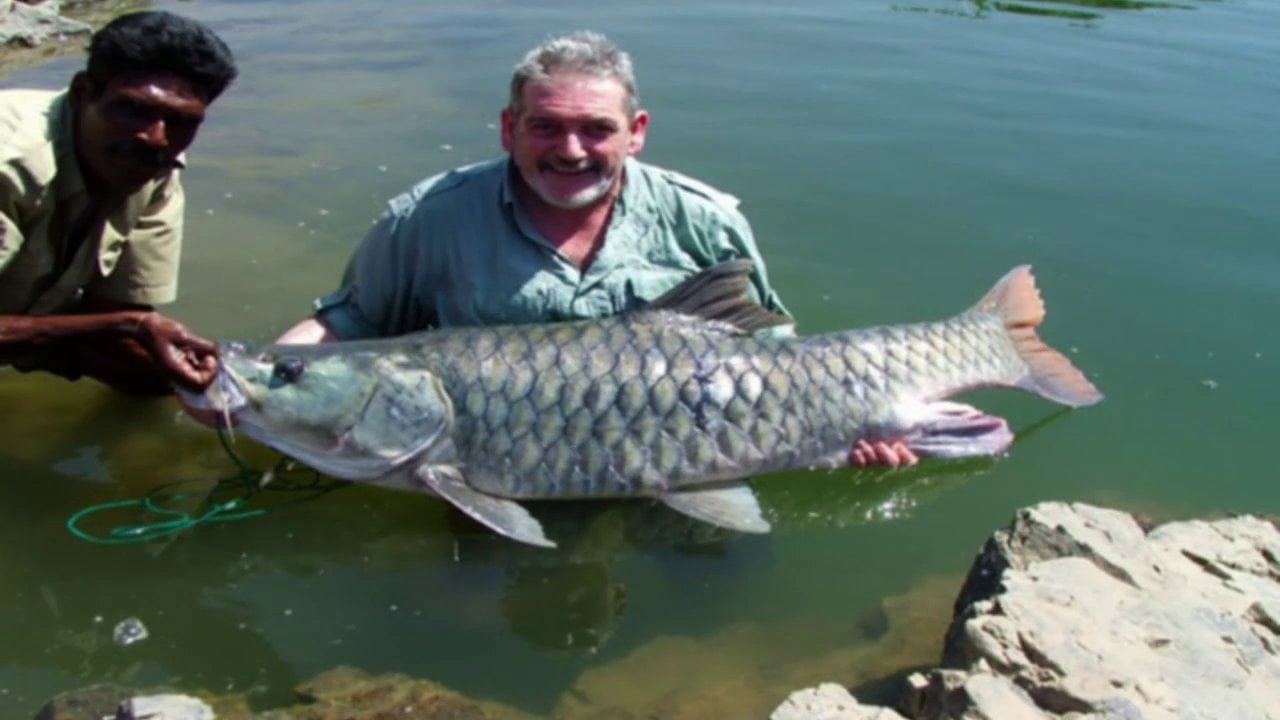 Mahseeer Fishing in India