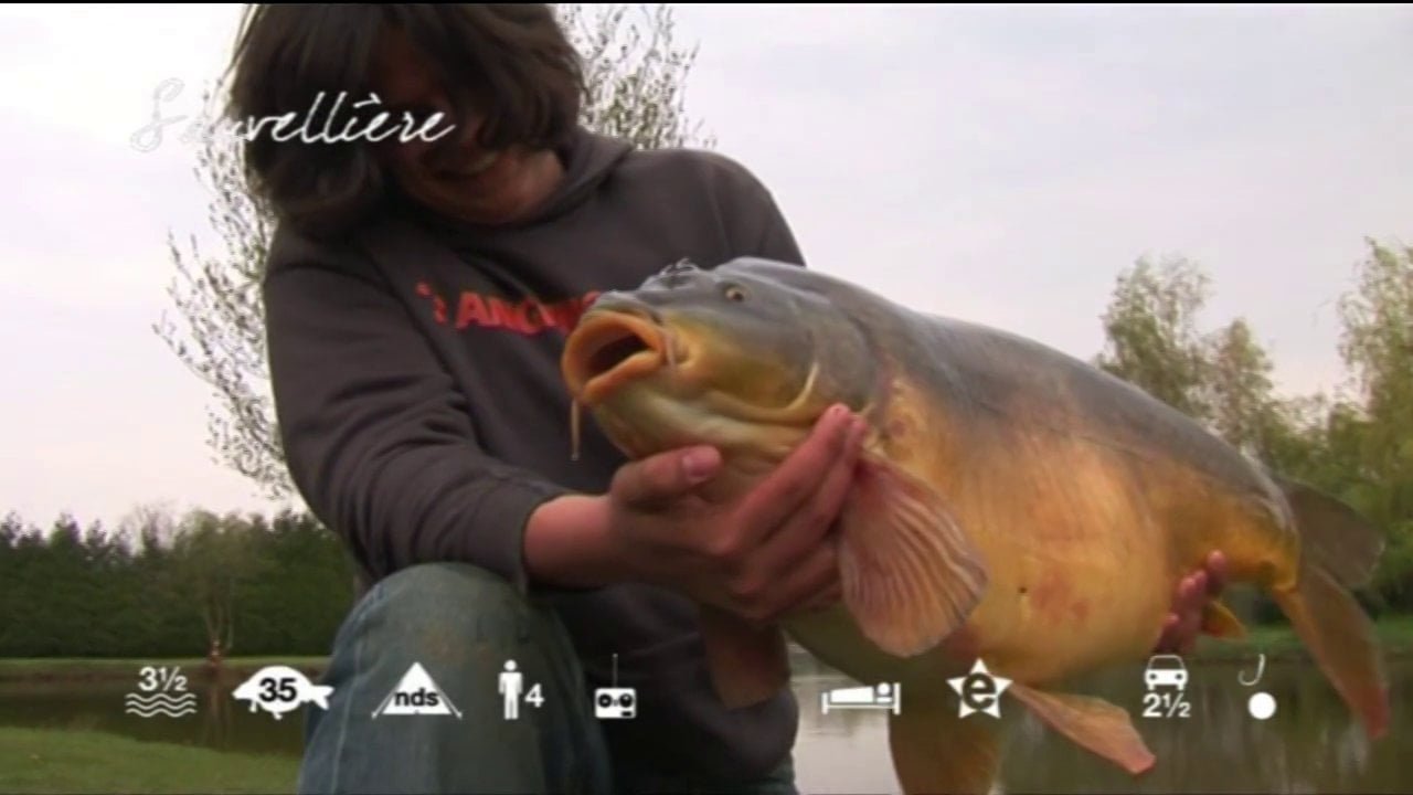 Sauvellière – carp fishing in France