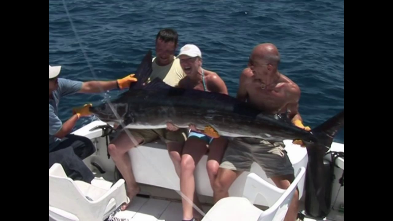 Striped Marlin - big game fishing in the Sea of Cortez