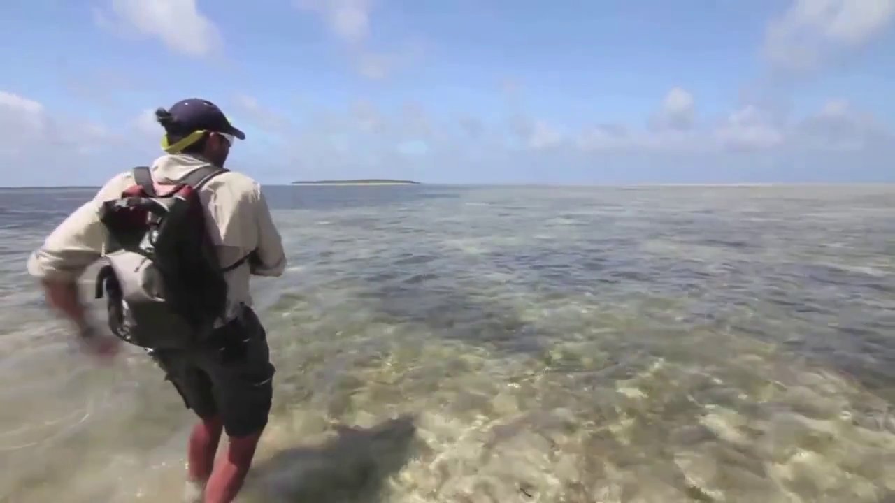 Giant Trevally Fly Fishing Providence Atoll Seychelles