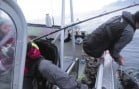 Amazing Halibut Fishing Northern Norway