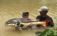 Gillhams Resort, Thailand – the home of more IGFA records than any other