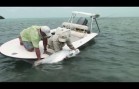Red Hot Fly Fishing in Cuba