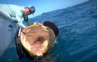 Fishing for Monsters on Shallow Florida Wrecks