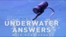 ***CARP FISHING TV***  Underwater Answers 3 – Zig Rigs