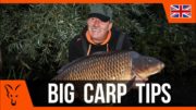 Five Top Tips to Catch Big Carp