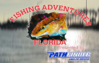 Fish in front of Florida coastline