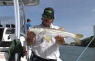 Fishing Adventures Florida Episode 9: Snook Action in Tampa Bay