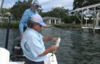 Fishing Adventures Florida Episode 14: Artificial bait beats live bait and we proved it