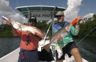 Fishing Adventures Florida Episode 19: Mangrove Snapper Madness