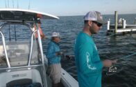 Fishing Adventures Florida Episode 20: A Strangle Bite in Tampa Bay