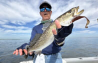 Windy Waters and Wild Trout Catches with Saltwater Assassin Electric Chicken P&V Lures